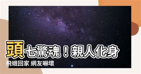 頭七 飛蛾|【頭七飛蛾】頭七飛蛾現身！亡者魂魄化身昆蟲回家，專家揭背後。